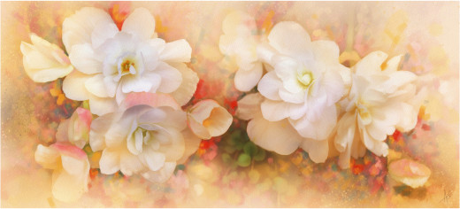 794005 (a): :4200x1903